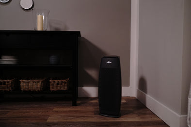 The Latest and Greatest: The HP600 Air Purifier