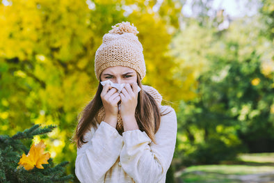 The Fight Against Fall Allergies