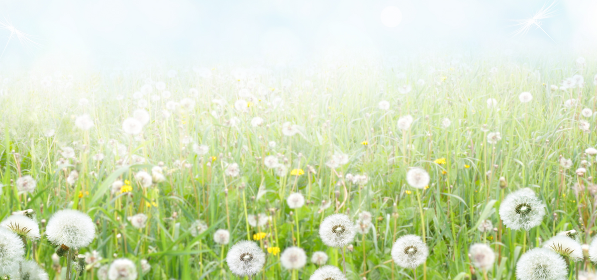 Spring allergy season and indoor air quality