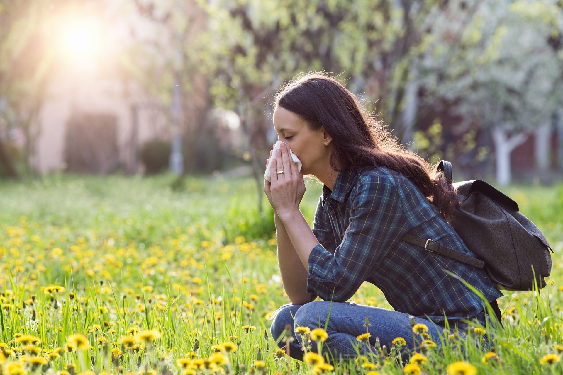 Achoo! Allergy Season and Air Purifiers