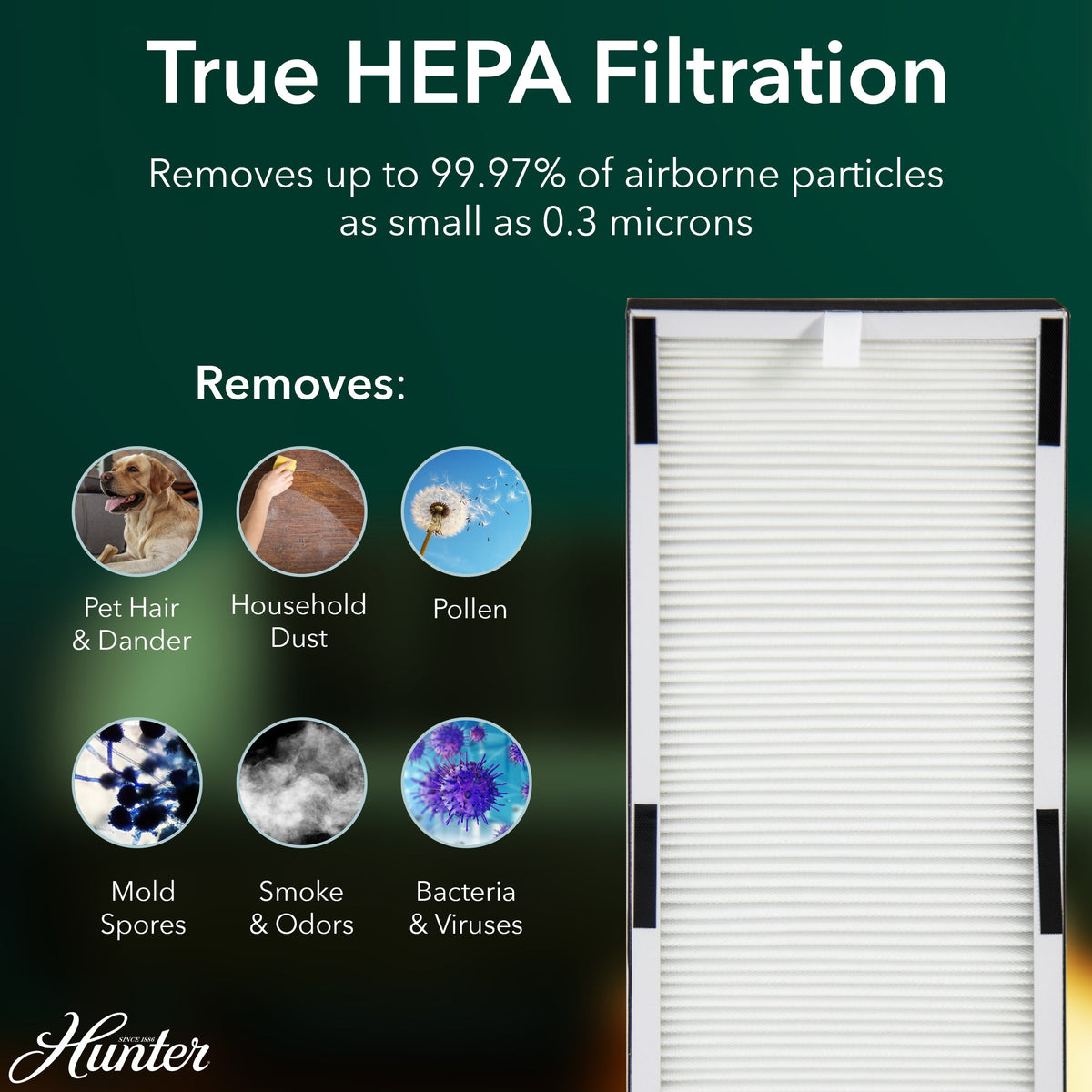 Replacement Filters