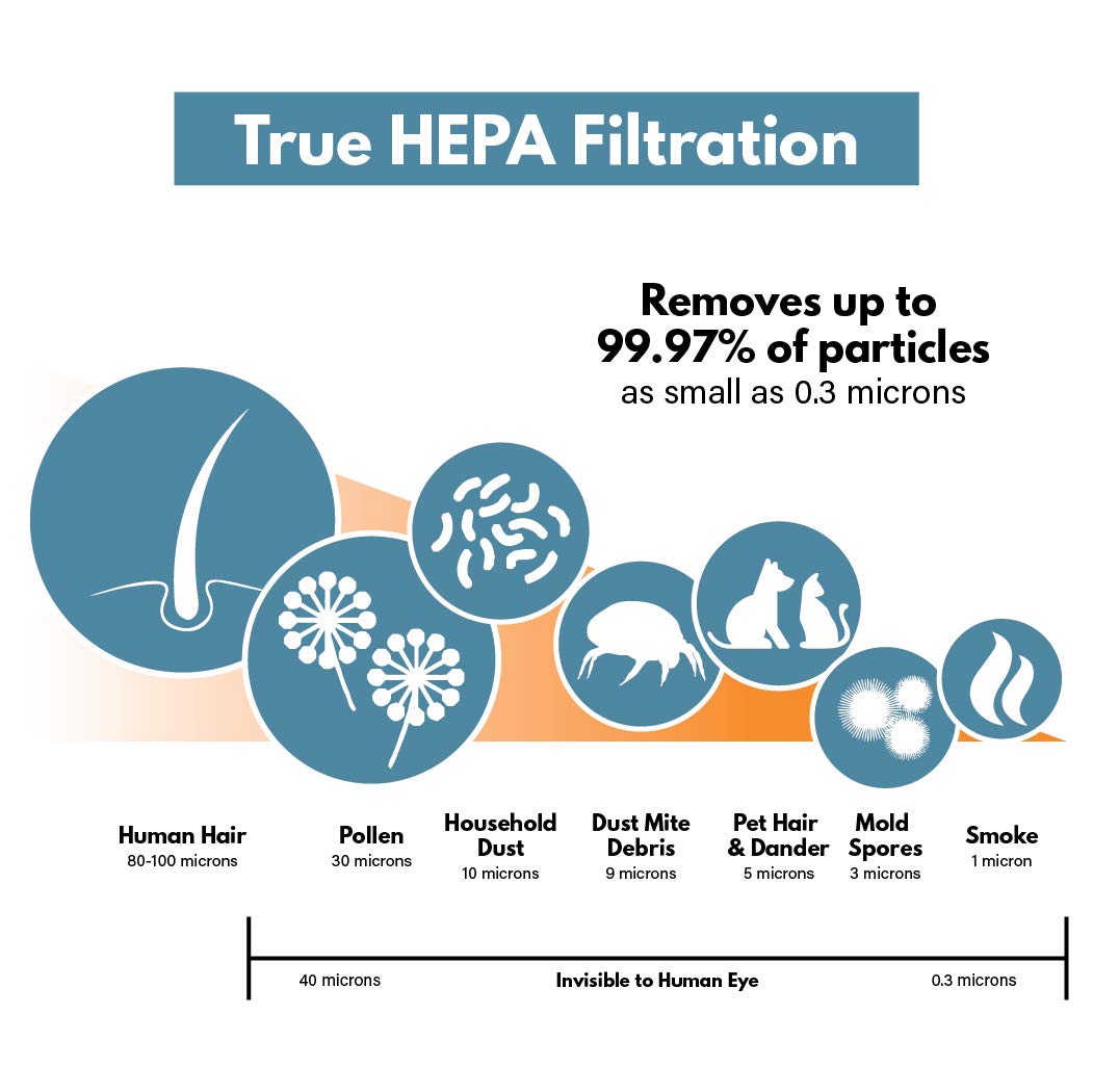 True HEPA Replacement Air Purifier Filter 2 Pack 30615