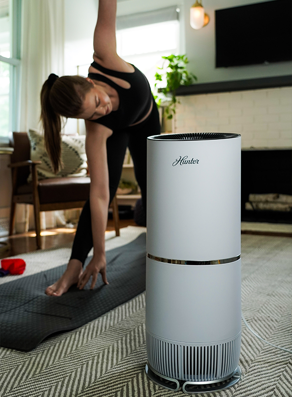 Hunter permalife home office air purifier ionizer online 30711