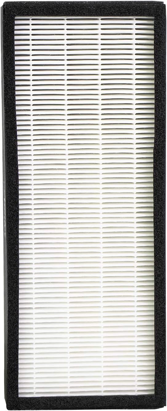 F1702HE True HEPA Replacement Air Purifier Filter